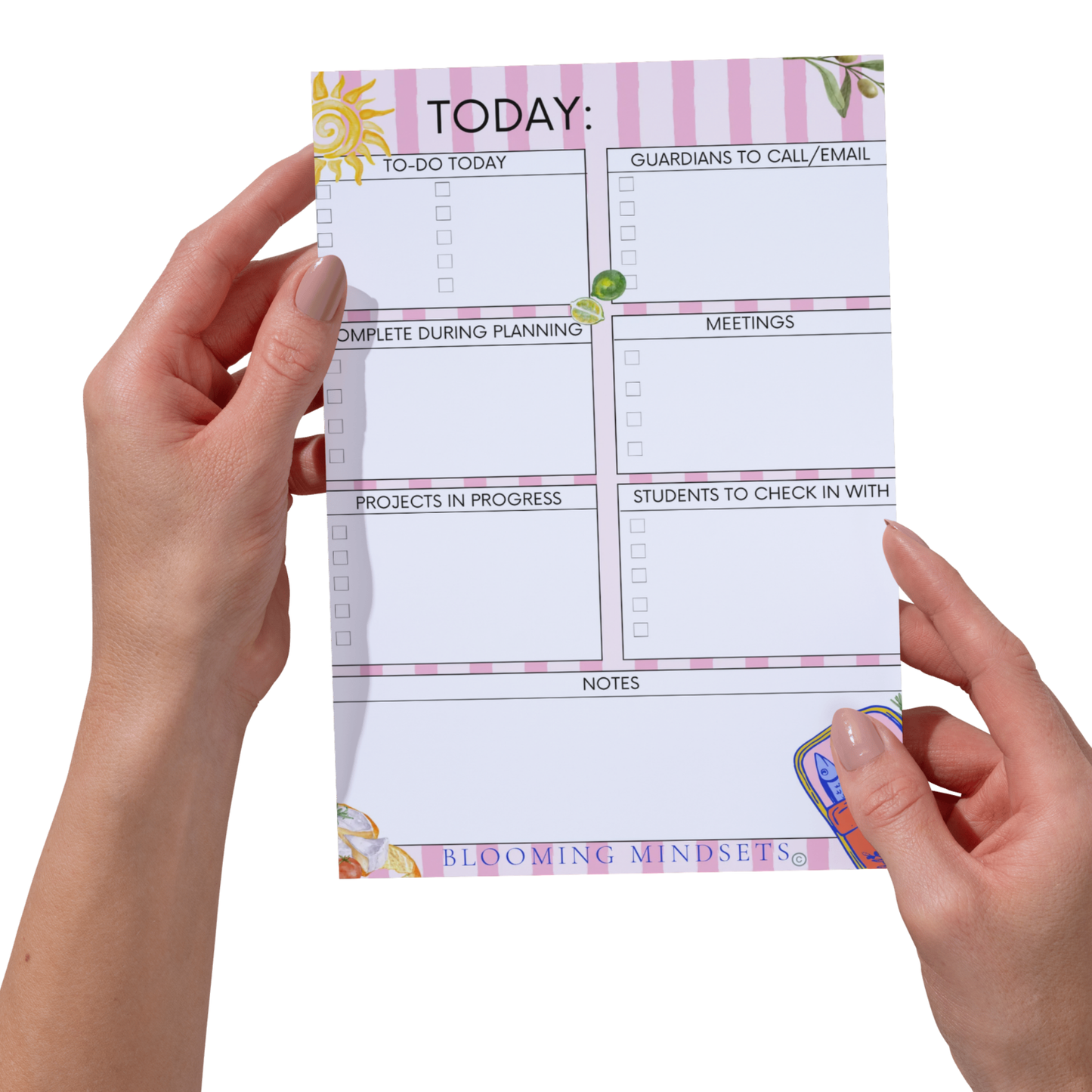Teacher Notepad Sardine